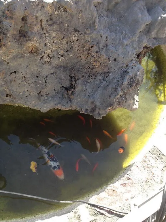Il Ghiretto Appartamento Ricco del Golfo di Spezia 0*,