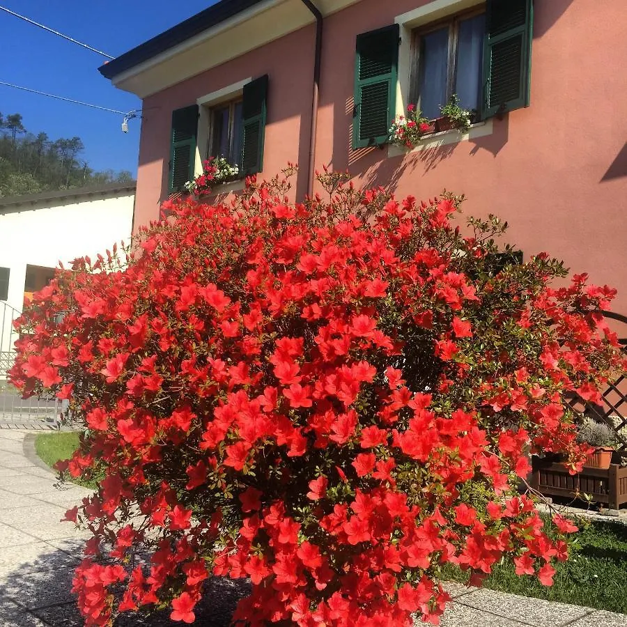 Il Ghiretto Appartamento Ricco del Golfo di Spezia